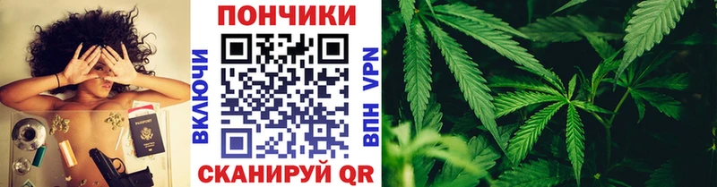 Купить наркоту Сертолово Кокаин  БУТИРАТ  omg онион  ГАШИШ  Alpha-PVP  Бошки Шишки 