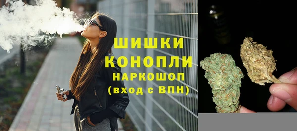 ГАЛЛЮЦИНОГЕННЫЕ ГРИБЫ Няндома