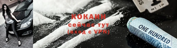 ГАЛЛЮЦИНОГЕННЫЕ ГРИБЫ Няндома