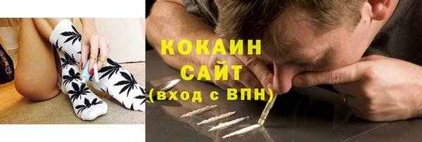 ГАЛЛЮЦИНОГЕННЫЕ ГРИБЫ Няндома