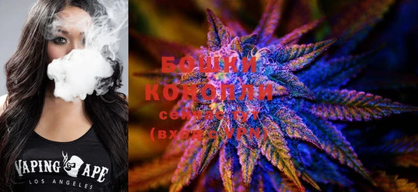 ГАЛЛЮЦИНОГЕННЫЕ ГРИБЫ Няндома