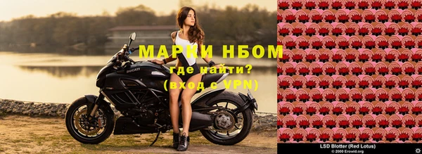 трава Нягань