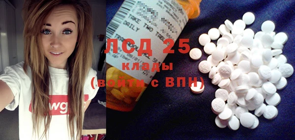 ГАЛЛЮЦИНОГЕННЫЕ ГРИБЫ Няндома