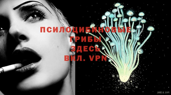 MESCALINE Новозыбков