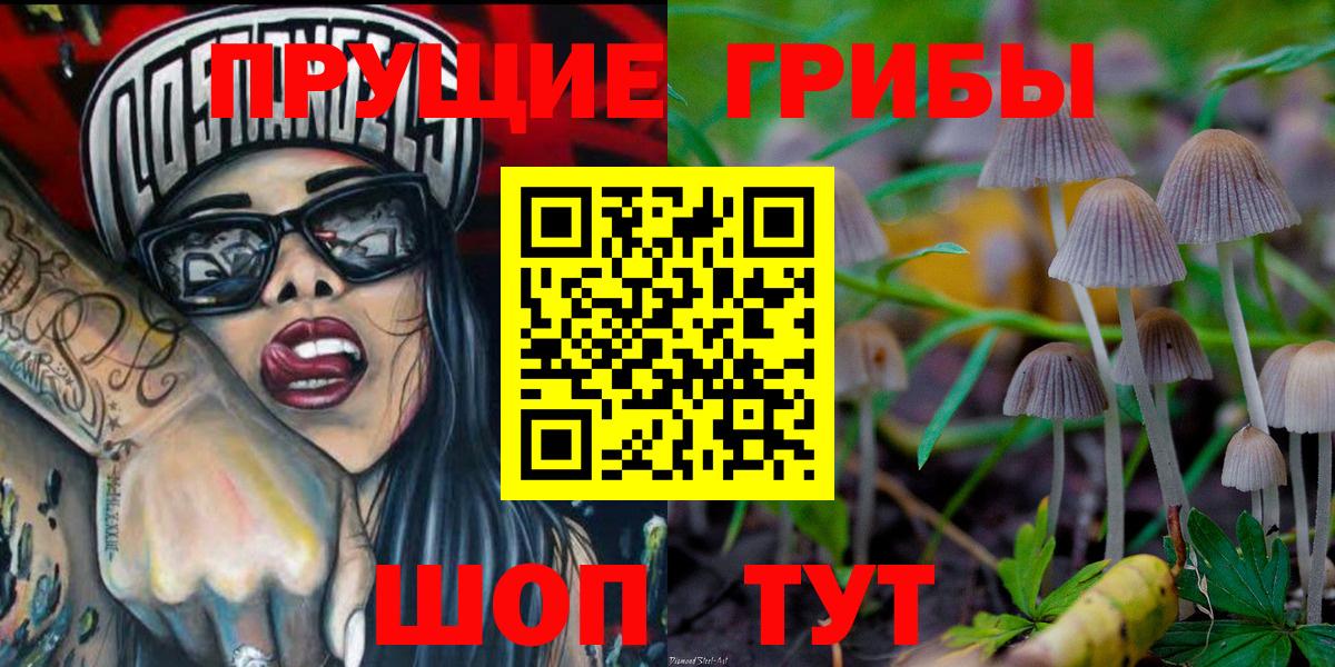 Псилоцибиновые грибы GOLDEN TEACHER Сертолово