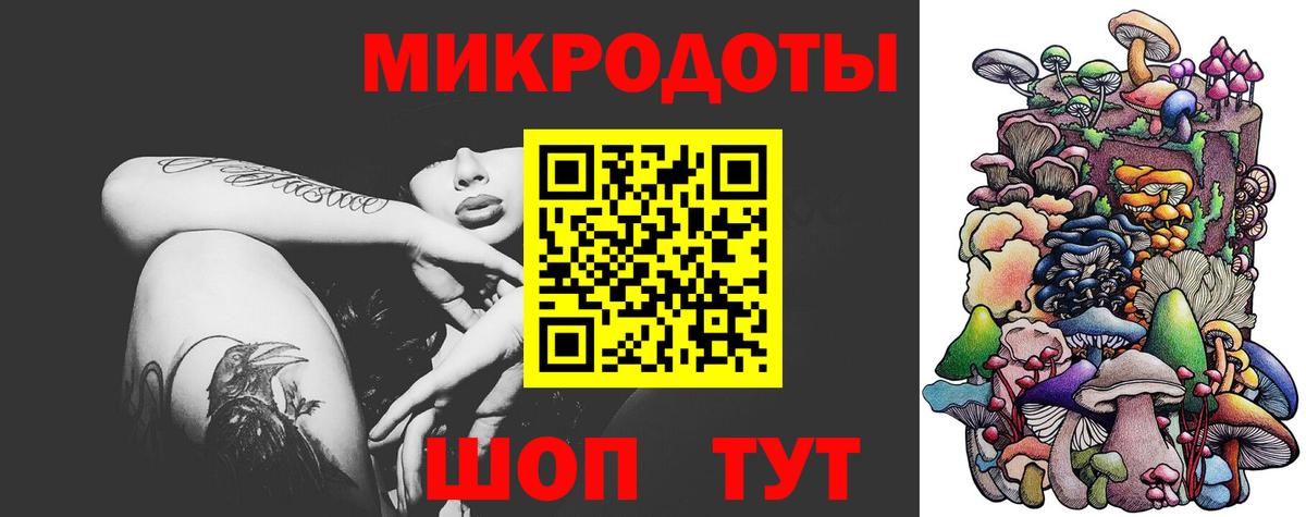 Псилоцибиновые грибы мицелий  Сертолово 