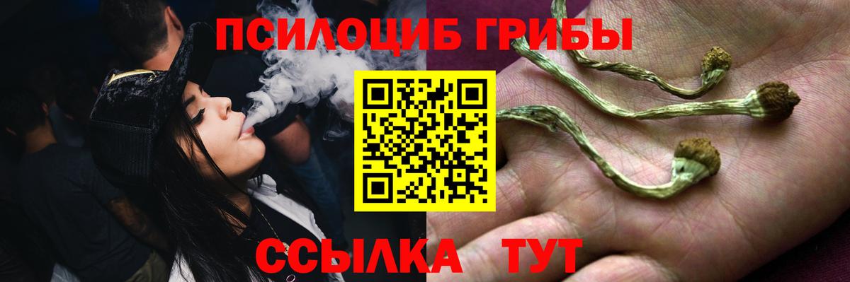 Галлюциногенные грибы Psilocybe Сертолово