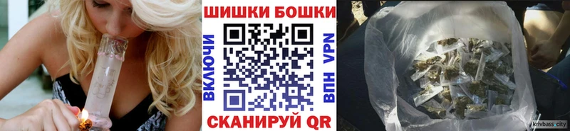 Конопля ГИДРОПОН  где купить наркотик  Сертолово 